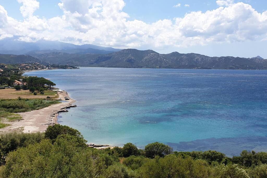 Appartement Sur La Baie De Saint Florent Patrimonio Exterior foto