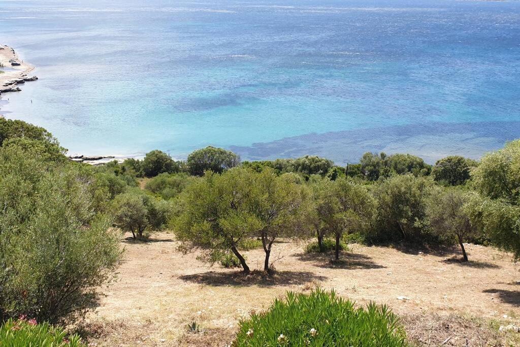 Appartement Sur La Baie De Saint Florent Patrimonio Exterior foto
